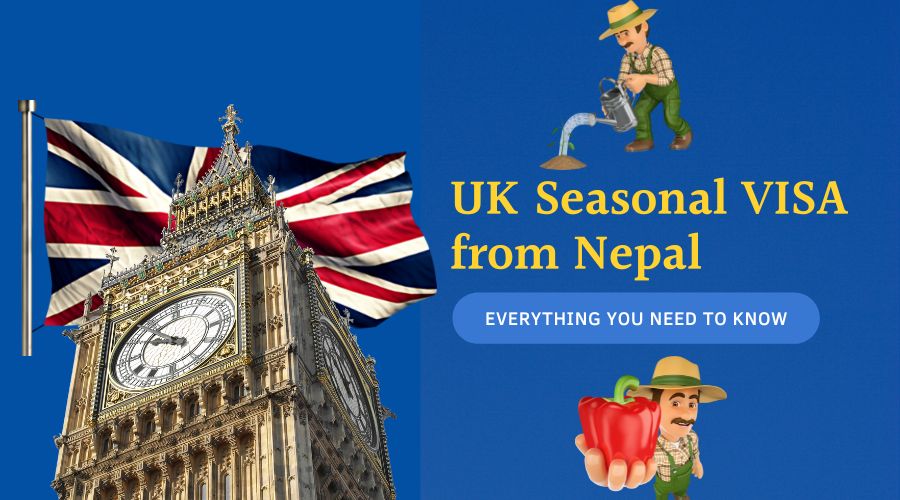 Buy Tobacco Online in Nepal - Online Liquor Nepal